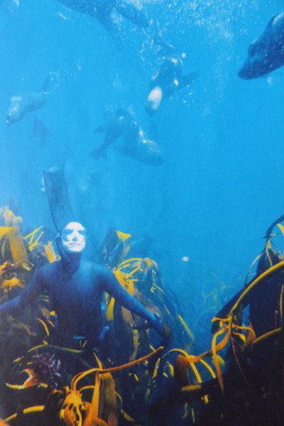 Freediving in the kelp forest