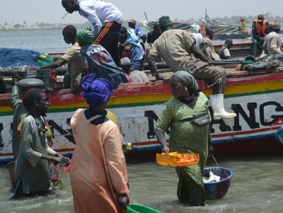 Women play a crucial role in local fisheries and food security, here Guet Ndar, Senegal (Photo P. Bottoni)