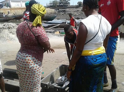 Women in Boulbinet Port, Guinea, buying fish for resale (Photo A. Sall)