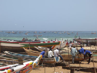 Pirogues in Kayar, Senegal, April 2013 (Photo P.Bottoni)