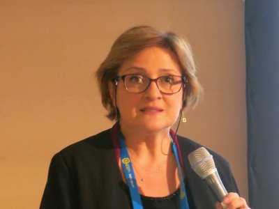 Silvia Peppolone introduced the geoethics session stream