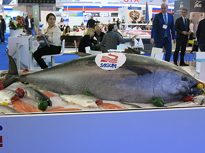 Bluefin tuna at one of the booth at the Turkish pavilion -  that makes for a lot of sushi and sashimi